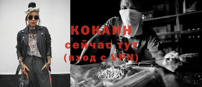 Cocaine VHQ  где можно купить   Ардон 