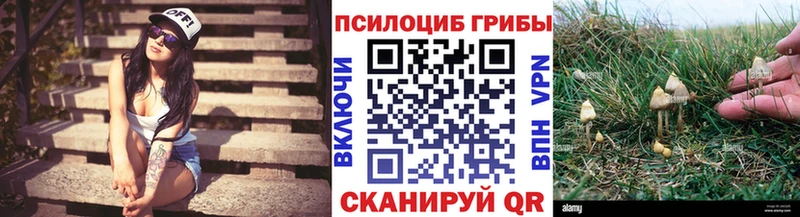 Псилоцибиновые грибы GOLDEN TEACHER Ардон